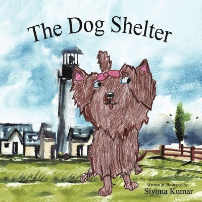 The Dog Shelter 1