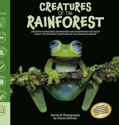 bokomslag Amazing Creatures of the Rainforest: Rainforest picture book for kids with fun interesting information and fascinating facts