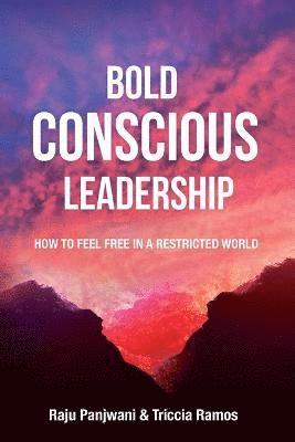 bokomslag Bold Conscious Leadership