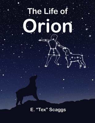 The Life of Orion 1
