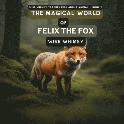 The Magical World of Felix the Fox 1