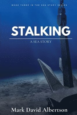 bokomslag Stalking