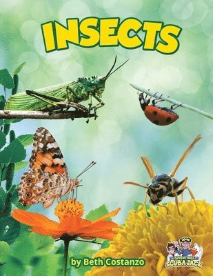 bokomslag Insects