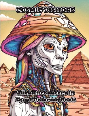 bokomslag Cosmic Visitors