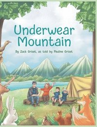 bokomslag Underwear Mountain
