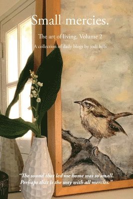 Jodi Hills - Small mercies, Häftad