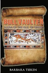 bokomslag Bull Vaulter