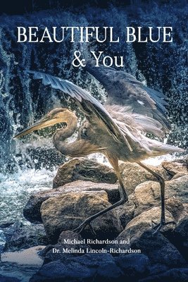 Michael Richardson, Melinda Lincoln Richardson, Lincoln Richardson, Dr. Melinda - Beautiful Blue & You, Häftad