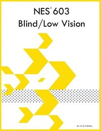 bokomslag NES 603 Blind/Low Vision