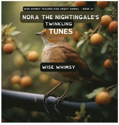 bokomslag Nora The Nightingale's Twinkling Tunes