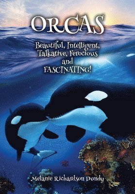 ORCAS - Beautiful, Intelligent, Talkative, Ferocious, Fascinating 1