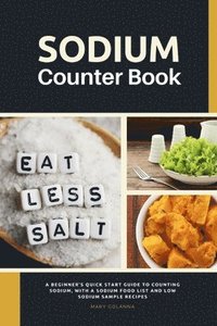 bokomslag Sodium Counter Book