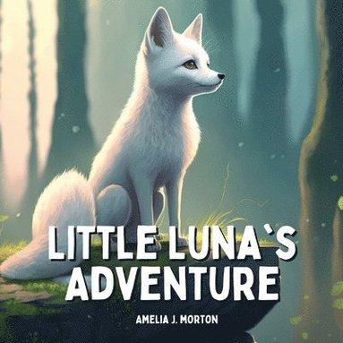 bokomslag Little Luna's Adventure