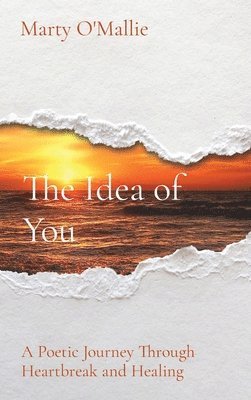 bokomslag The Idea of You