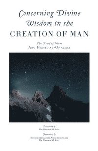 bokomslag Concerning Divine Wisdom in the Creation of Man