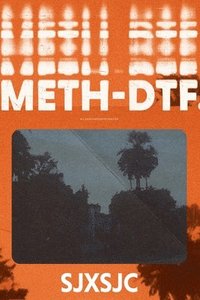 bokomslag Meth-DTF.