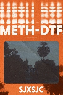 Shane Jesse Christmass - Meth-DTF., Häftad