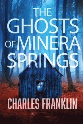 bokomslag Ghosts of Minera Springs