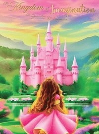 bokomslag The Kingdom of Imagination