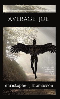 Average Joe 1