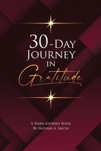 bokomslag 30-Day Journey In Gratitude