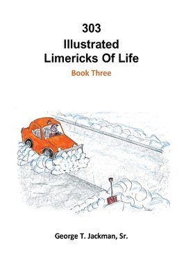 bokomslag 303 Illustrated Limericks of Life