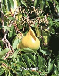 bokomslag The Pear