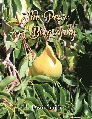 The Pear 1