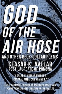 bokomslag God of the Air Hose and Other Blue-Collar Poems