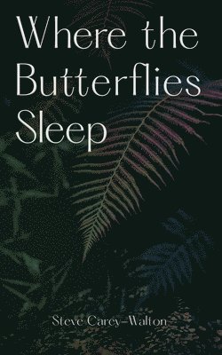 Where the Butterflies Sleep 1