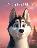 bokomslag Bo's Big Adventure