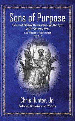 bokomslag Sons of Purpose, a View of Biblical Heroes through the Eyes of 21st Century Men: A 40 Writer Collaboration, Volume 3