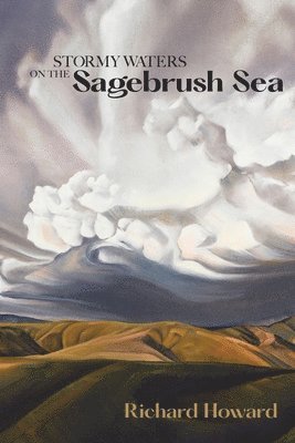 bokomslag Stormy Waters on the Sagebrush Sea - Second Edition