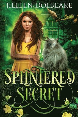 bokomslag Splintered Secret