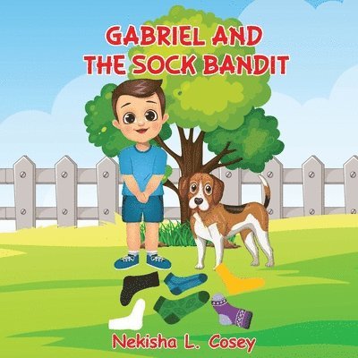 Gabriel and the Sock Bandit 1