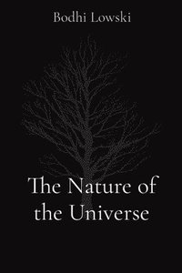 bokomslag The Nature of the Universe