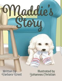 bokomslag Maddie's Story