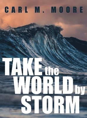 bokomslag Take the World by Storm
