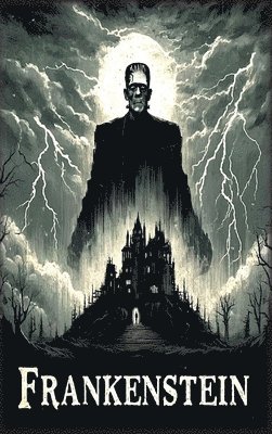 bokomslag Frankenstein