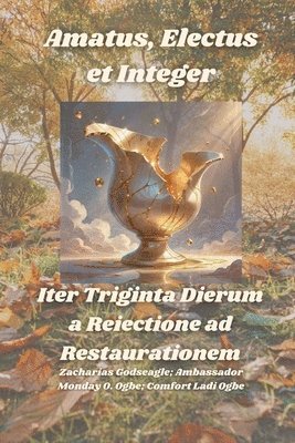 Zacharias Godseagle, Comfort Ladi Ogbe, Ambassador Monday O Ogbe - Amatus, Electus et Integer - Iter Triginta Dierum a Reiectione ad Restaurationem, Häftad