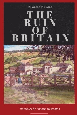 bokomslag Ruin of Britain
