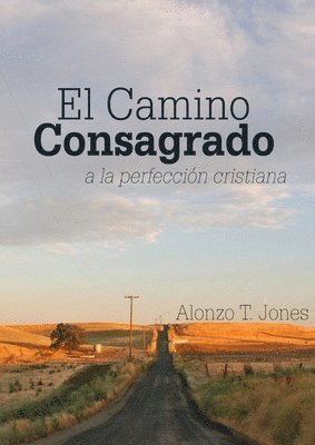 El Camino Consagrado a la Perfeccin Cristiana 1