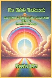 bokomslag Third Testament