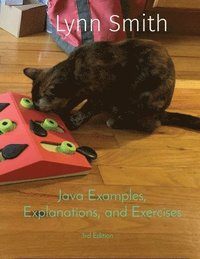 bokomslag Java Examples, Explanations, and Exercises Third Edition