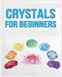 bokomslag Crystals for Beginners