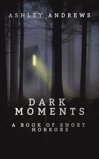 bokomslag Dark Moments