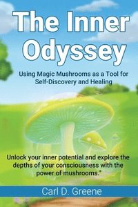 bokomslag Inner Odyssey