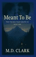 bokomslag Meant To Be? Book One- The Things That Shape Us