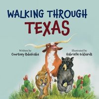 bokomslag Walking Through Texas