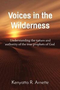 bokomslag Voices in the Wilderness